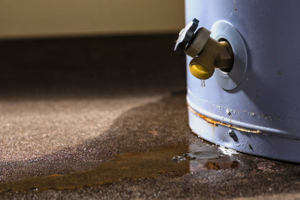 Best 24/7 water damage repair  in Holloman Af, NM