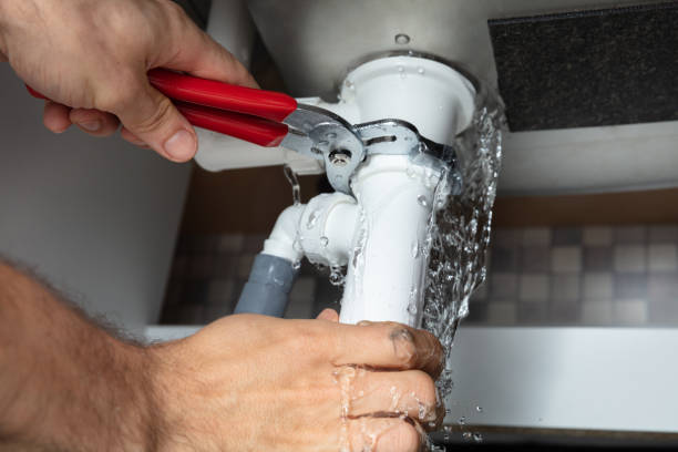 Best Water damage restoration specialists  in Holloman Af, NM