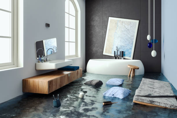 Best Water damage repair service  in Holloman Af, NM