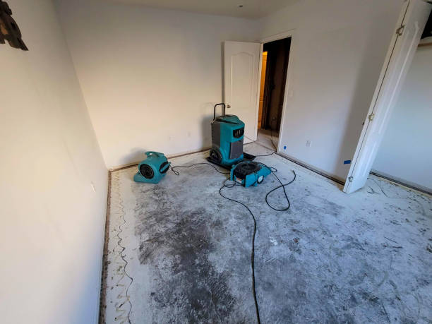 Best Flood restoration services  in Holloman Af, NM