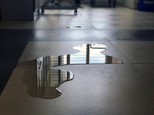 Best Commercial water damage restoration  in Holloman Af, NM