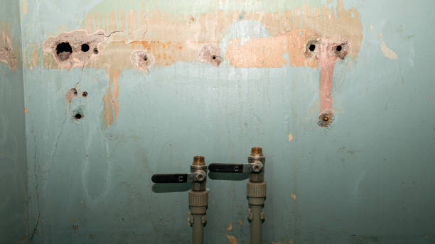 Best Ceiling water damage repair  in Holloman Af, NM