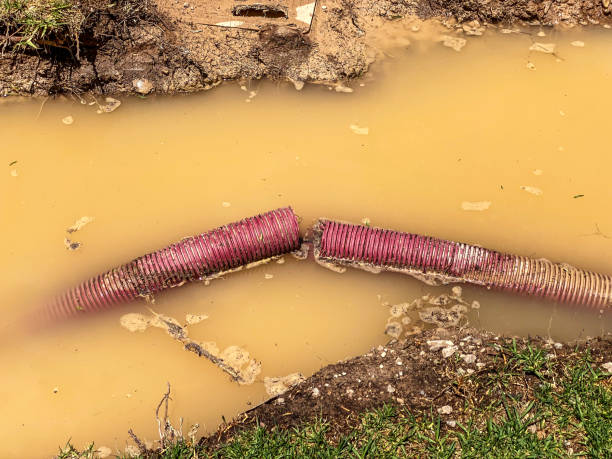 Best 24-hour water damage restoration  in Holloman Af, NM